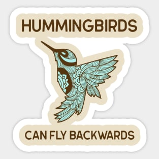 Hummingbirds can fly Backwards Animal Facts Sticker